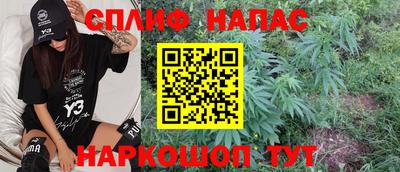 Альфа ПВП Будённовск